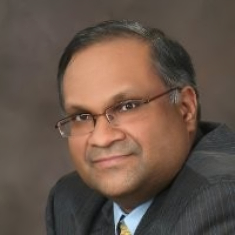 Portrait of Sameer Mittal